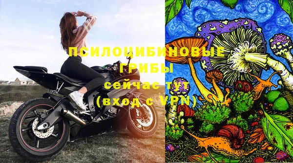 первитин Абинск
